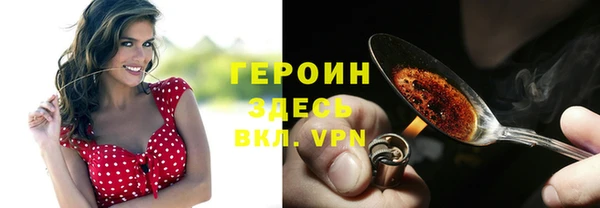 прущие грибы Приозерск
