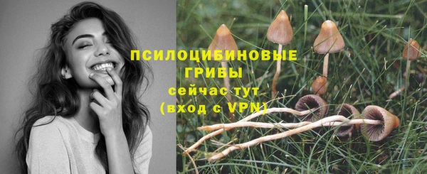 прущая мука Протвино